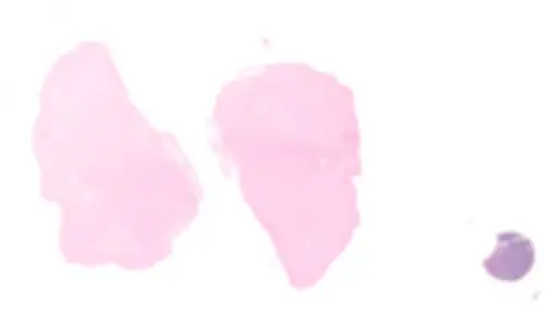 Slide thumbnail with blurred regions